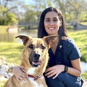 Veterinarian performing acupuncture treatment for a pet